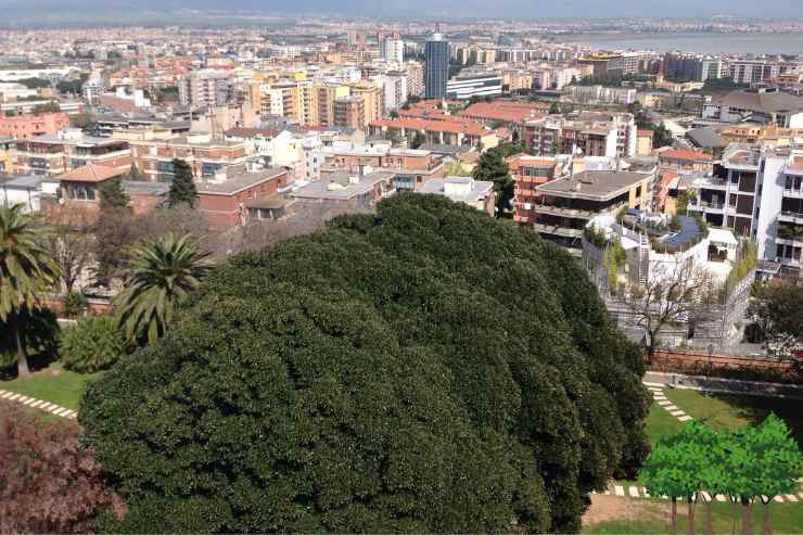 Cagliari 